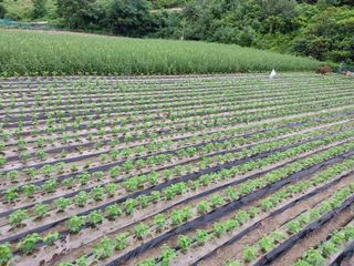 5월출석왕이레요님의 자유주제 · 자유게시판 작성글 사진