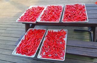 전명숙님의 자유주제 · 자유게시판 작성글 사진