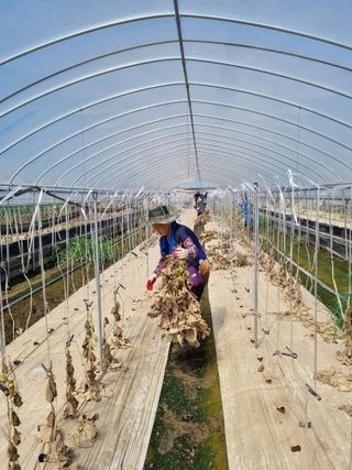 황인동님의 자유주제 · 자유게시판 작성글 사진