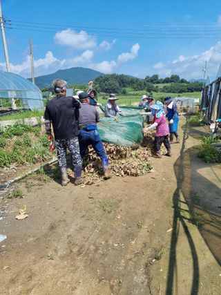 황인동님의 자유주제 · 자유게시판 작성글 사진