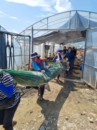 황인동님의 자유주제 · 자유게시판 작성글 사진