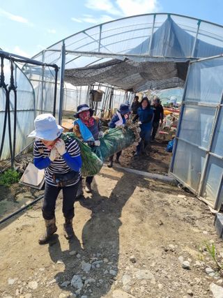 황인동님의 자유주제 · 자유게시판 작성글 사진