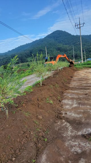 박봉화 님의 우리동네 · 동네자랑 작성글 사진