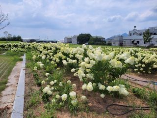 정광일님의 기타작물 · 자유게시판 작성글 사진