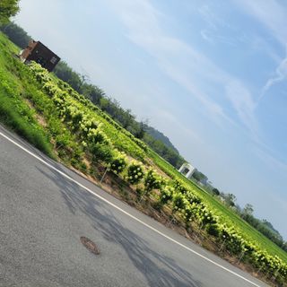 정광일님의 기타작물 · 자유게시판 작성글 사진