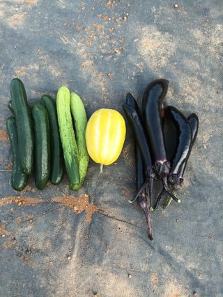 김은숙님의 자유주제 · 자유게시판 작성글 사진