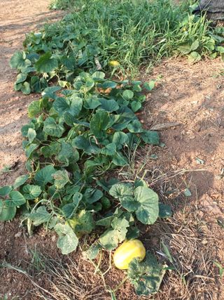 김은숙님의 자유주제 · 자유게시판 작성글 사진