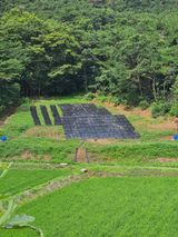 팜모닝 기타작물·자유게시판 게시글 이미지