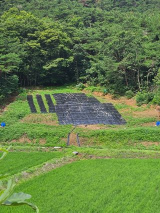 김기용님의 기타작물 · 자유게시판 작성글 사진