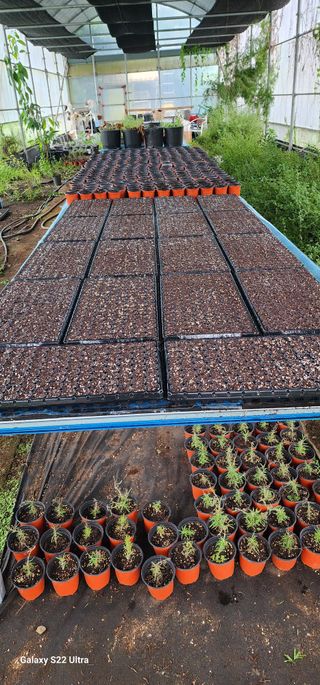 한재범님의 기타작물 · 자유게시판 작성글 사진