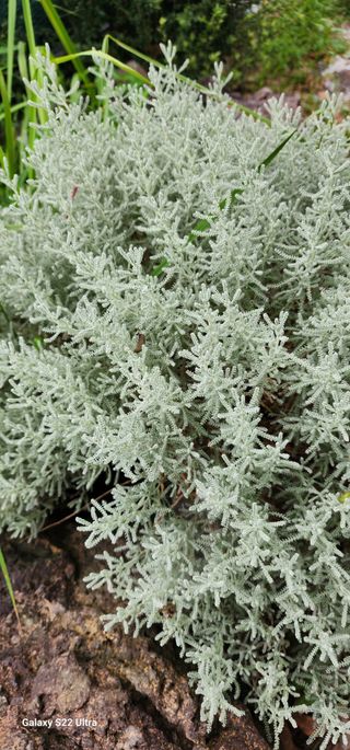 한재범님의 기타작물 · 자유게시판 작성글 사진