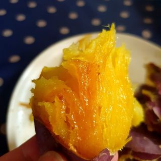 알 수 없음님의 작성글 사진