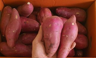 알 수 없음님의 작성글 사진