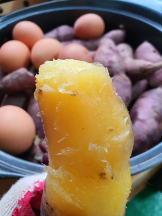 알 수 없음님의 작성글 사진