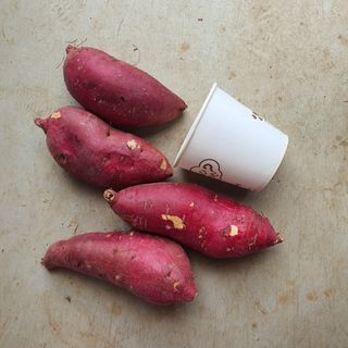 알 수 없음님의 작성글 사진