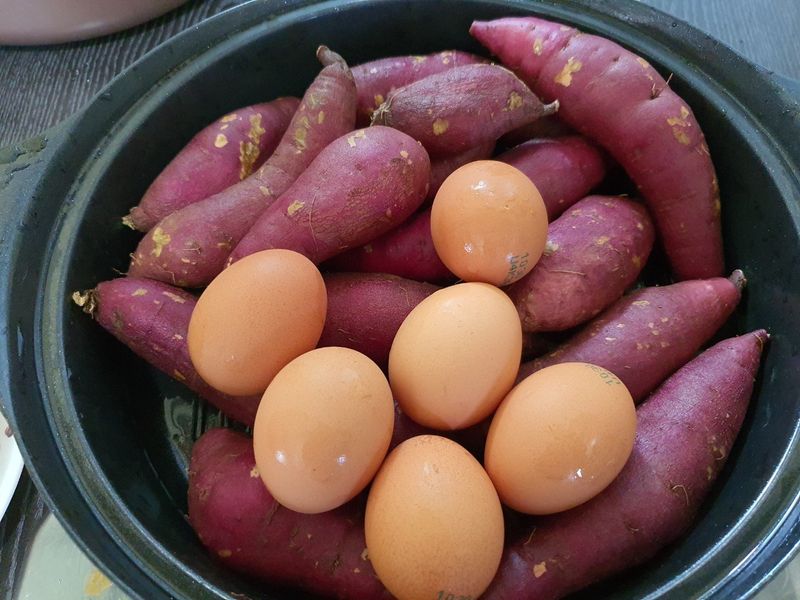 알 수 없음님의 장터 판매 상품 [   꿀밤고구마  5키로ㅡ10키로] 첨부 사진