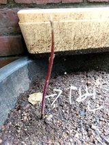 팜모닝 자유주제·자유게시판 게시글 이미지