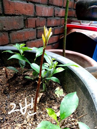 아보카도5353님의 자유주제 · 자유게시판 작성글 사진