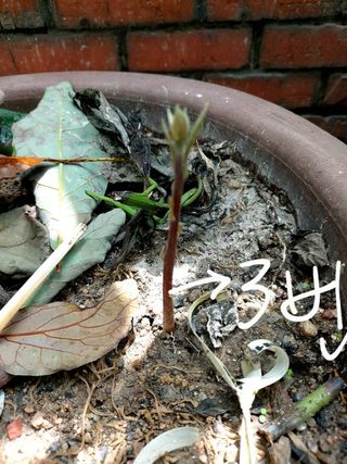 아보카도5353님의 자유주제 · 자유게시판 작성글 사진