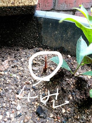 아보카도5353님의 자유주제 · 자유게시판 작성글 사진