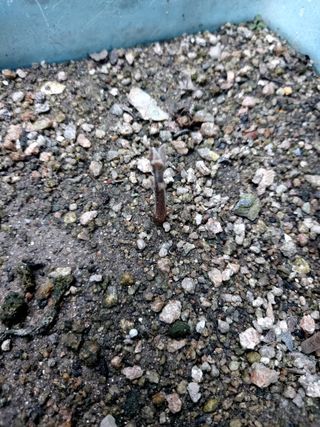 아보카도5353님의 자유주제 · 자유게시판 작성글 사진