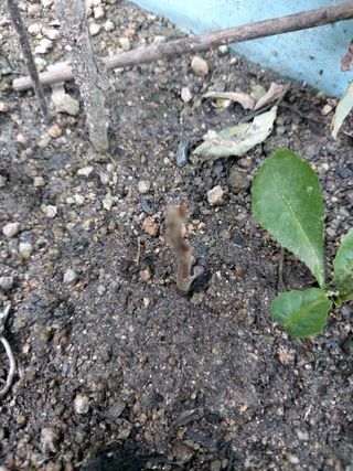 아보카도5353님의 자유주제 · 자유게시판 작성글 사진