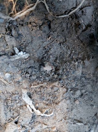 아보카도5353님의 자유주제 · 자유게시판 작성글 사진