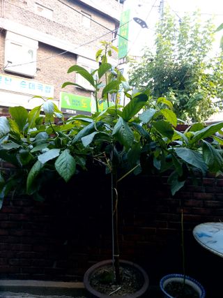 아보카도5353님의 자유주제 · 자유게시판 작성글 사진