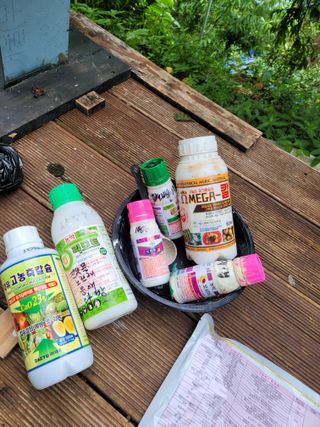 진해풍호동텃밭님의 고추 · 비료•농약 작성글 사진