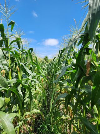 권지연.옥천.님의 작성글 사진