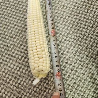 권지연.옥천.님의 작성글 사진