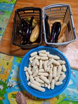 팜모닝 옥수수·자유게시판 게시글 이미지