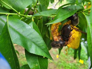 이형규님의 자유주제 · 자유게시판 작성글 사진