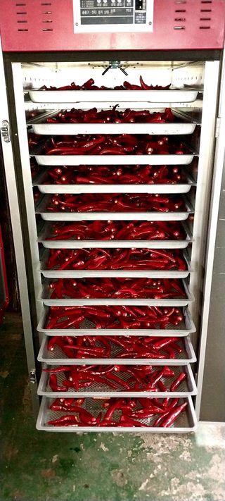 정진해님의 고추 · 저장•가공 작성글 사진