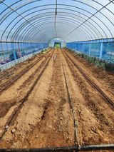 팜모닝 자유주제·자유게시판 게시글 이미지