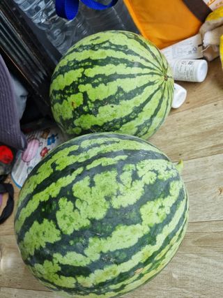 강희태님의 자유주제 · 사진전 작성글 사진