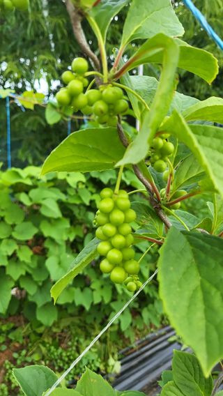 무진님의 기타작물 · 자유게시판 작성글 사진