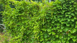 무진님의 기타작물 · 자유게시판 작성글 사진