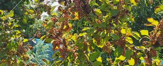 무진님의 기타작물 · 자유게시판 작성글 사진