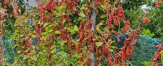 무진님의 기타작물 · 자유게시판 작성글 사진