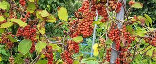 무진님의 기타작물 · 자유게시판 작성글 사진