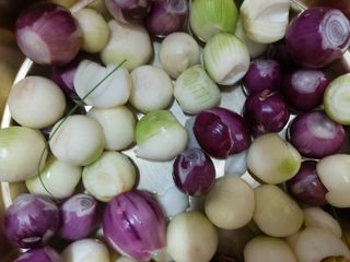 보리수치유농장님의 우리동네 · 동네자랑 작성글 사진