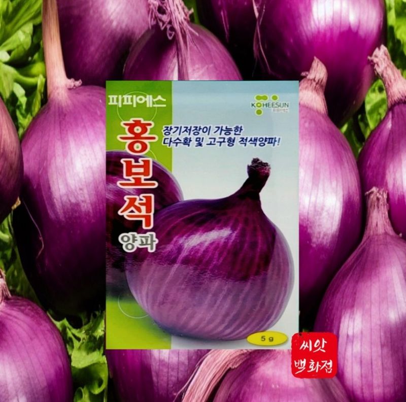 장터 상품 [적양파 씨앗 홍보석] 썸네일