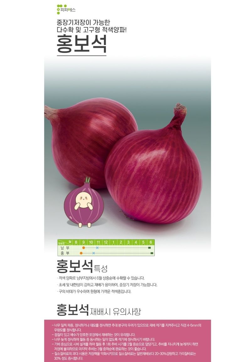 대산농사대장님의 장터 판매 상품 [적양파 씨앗 홍보석] 첨부 사진