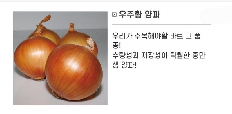 장터 상품 [우주황 저장성 우수 중만생양파  빅세일 ] 썸네일