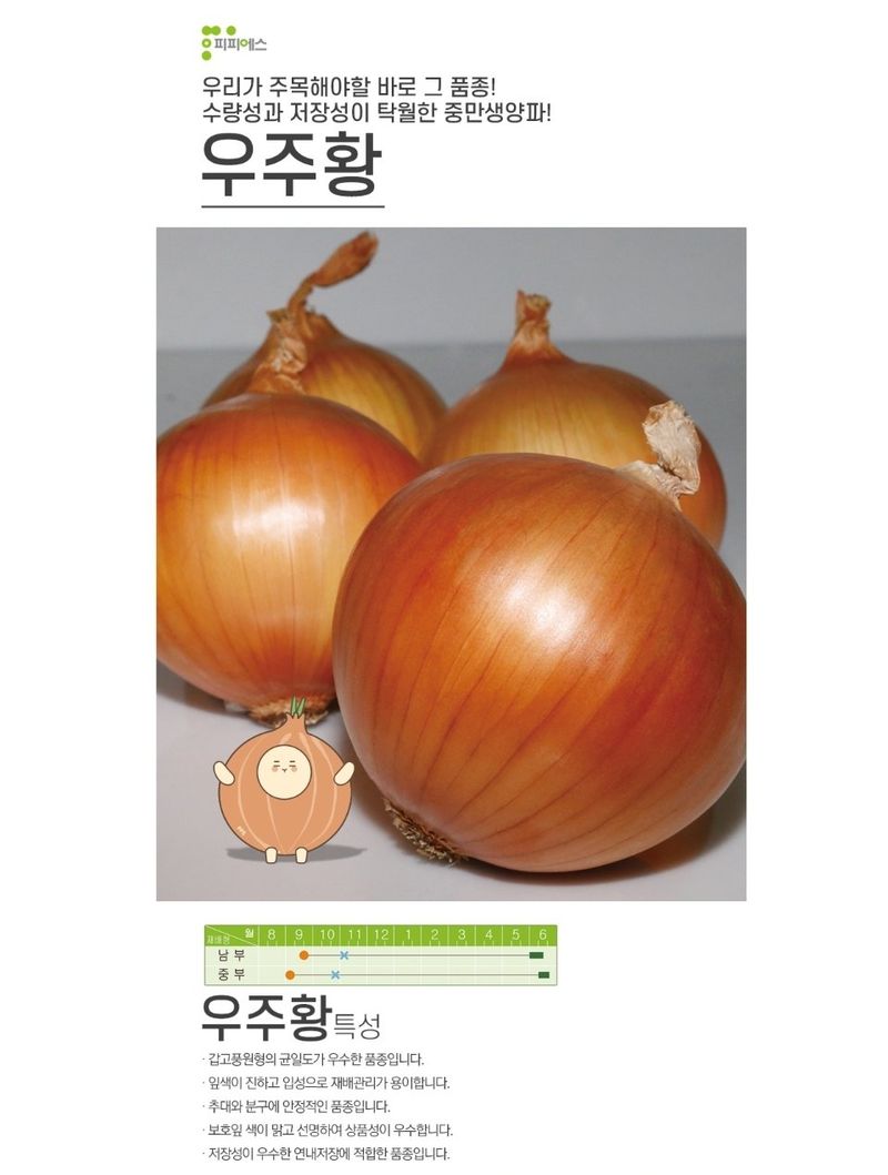 대산농사대장님의 장터 판매 상품 [우주황 저장성 우수 중만생양파  빅세일 ] 첨부 사진