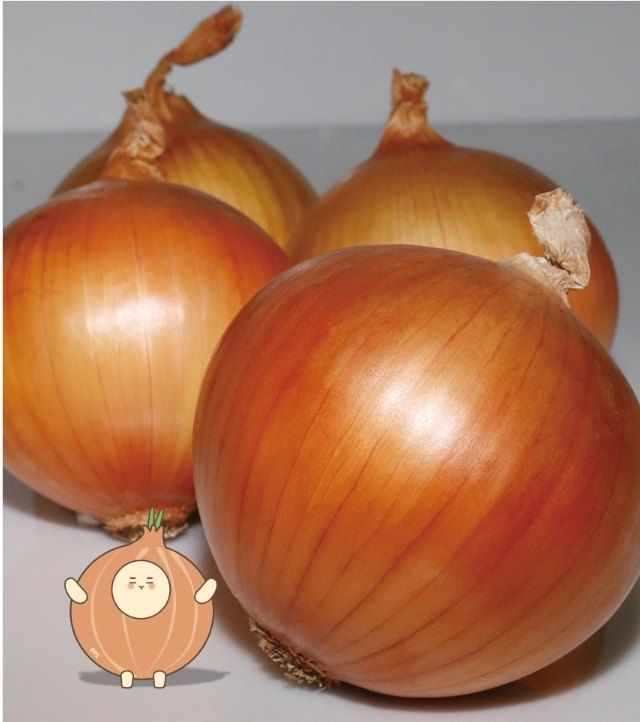 대산농사대장님의 장터 판매 상품 [우주황 저장성 우수 중만생양파  빅세일 ] 첨부 사진