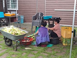 무지개블루베리농장 님의 옥수수 · 자유게시판 작성글 사진