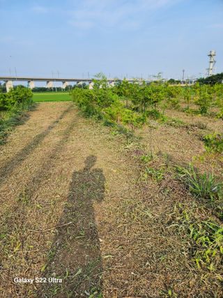 박해용(세건농장)님의 농기계정보 · 자유게시판 작성글 사진