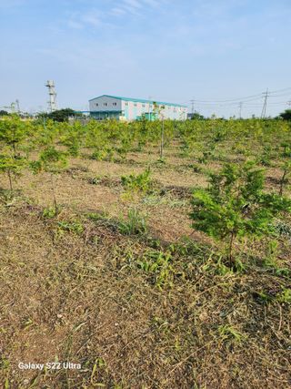 박해용(세건농장)님의 농기계정보 · 자유게시판 작성글 사진